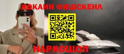 СК Кингисепп