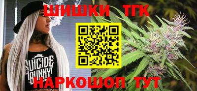 СК Кингисепп
