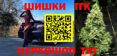 СК Кингисепп