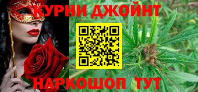 СК Кингисепп