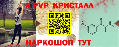 СК Кингисепп