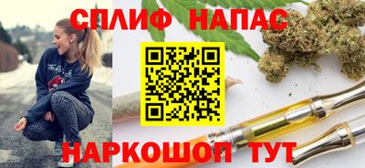 СК Кингисепп