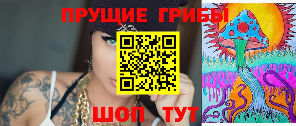 Галлюциногенные грибы GOLDEN TEACHER Кудрово