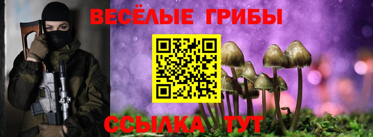 Псилоцибиновые грибы мицелий  Псилоцибиновые грибы Psilocybine cubensis  Кудрово  Вход с VPN 