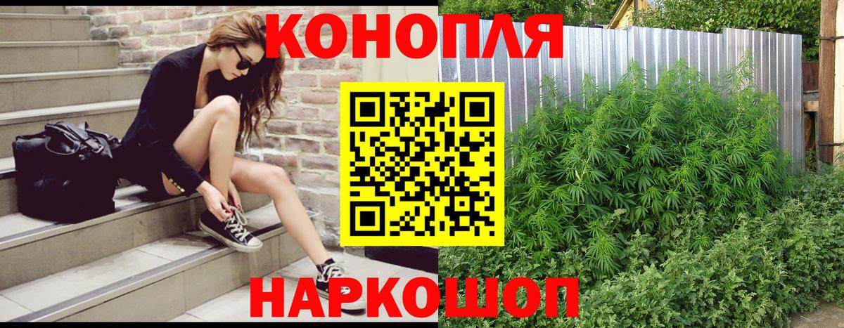 Конопля VHQ  Марихуана планчик  Вход с VPN  Кудрово  Канабис VHQ  Шишки марихуана конопля 